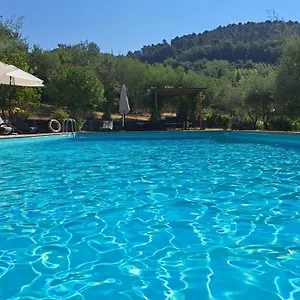 Farm stay Agriturismo Poggio All'olmo, Greve in Chianti