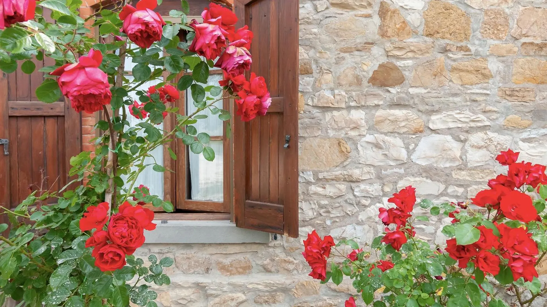 Agriturismo La Cipressaia Greve in Chianti